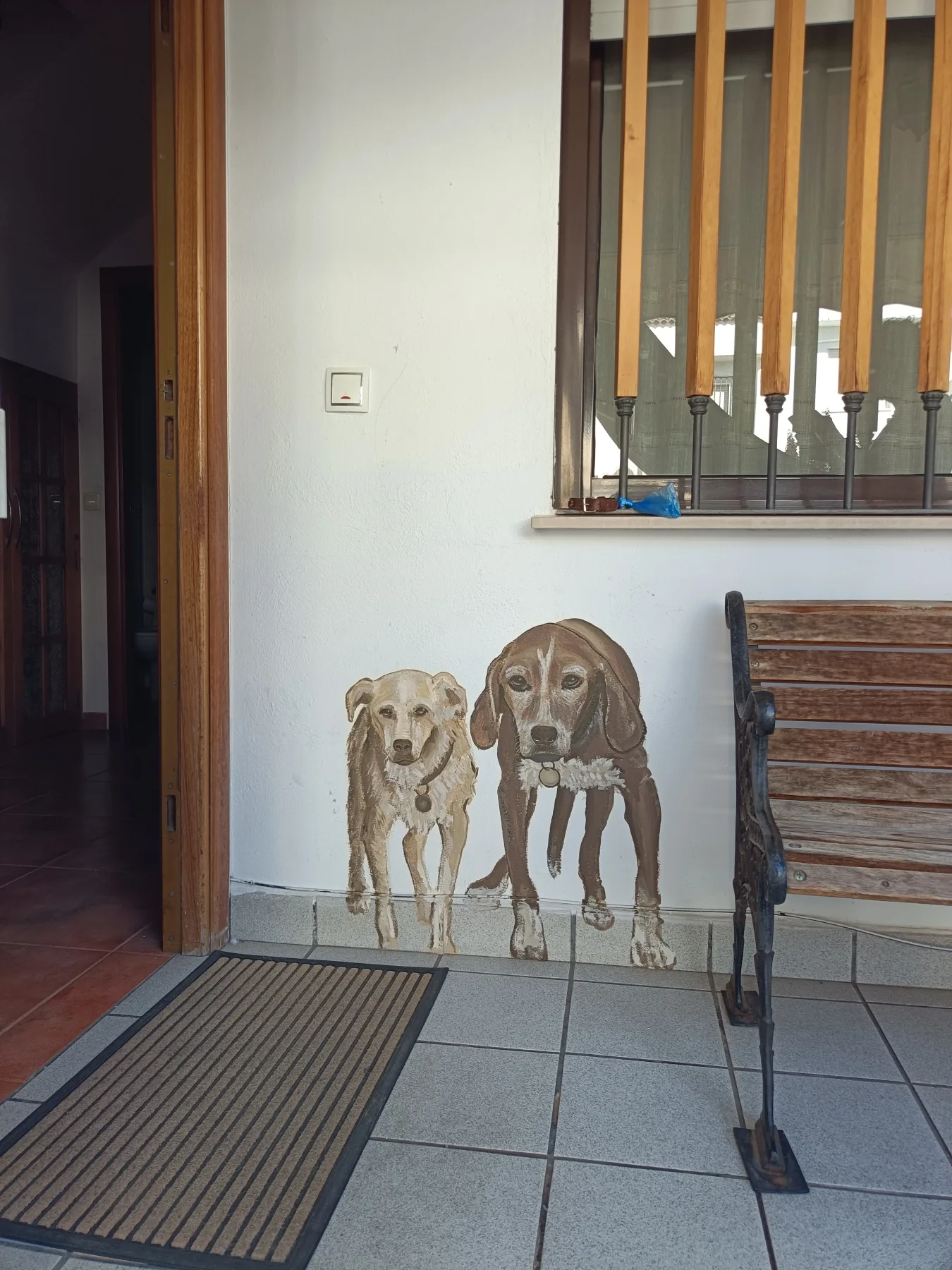 El David y los Perros 3